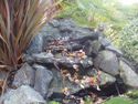 LEAF NETTING 7' x 10' WITH 8 STAKES