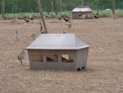 NEST BOX