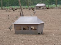 NEST BOX